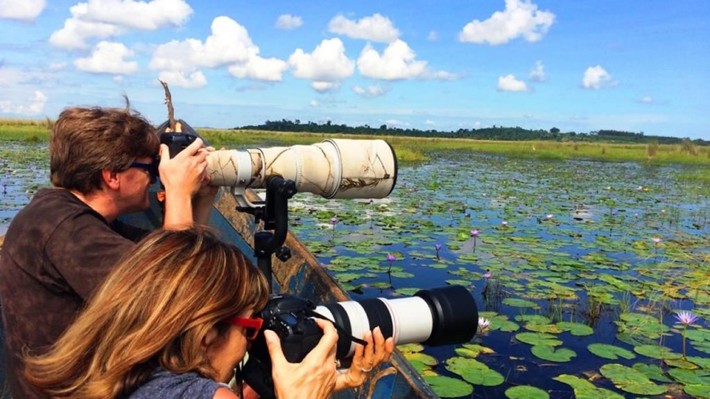 The Mabamba Bay Swamp and Wetland