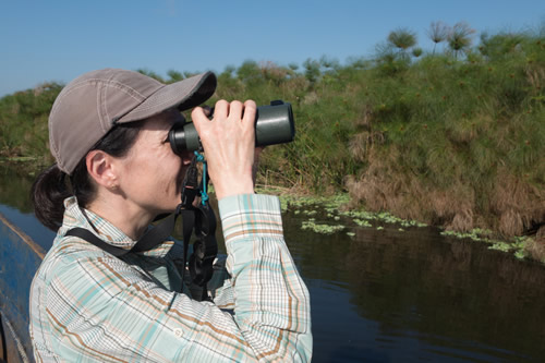 How to Reach Mabamba Swamp and Wetland