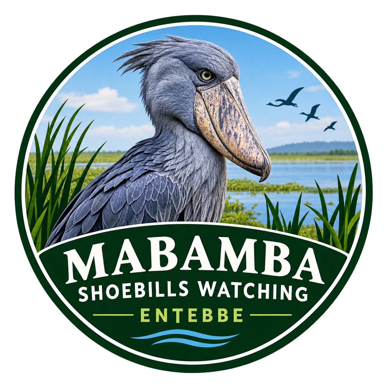 MABAMBA SWAMP