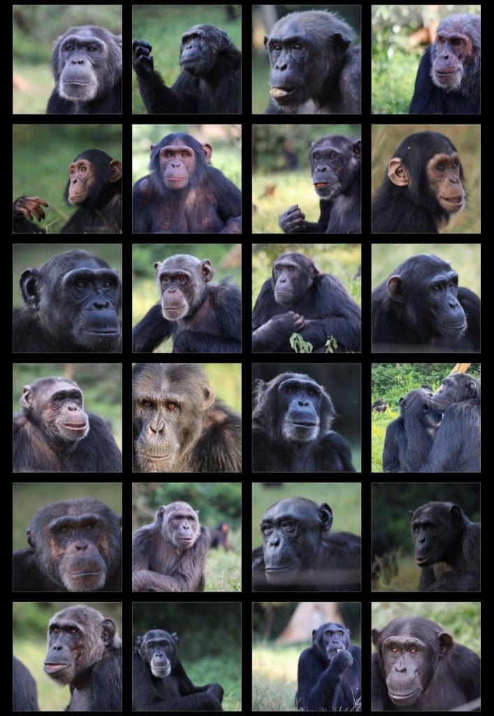 screenshot 20261013 211030 gallery